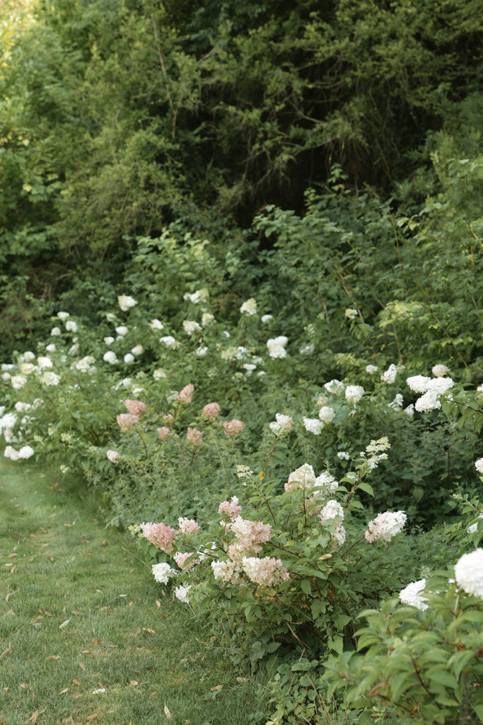 Wedding Chateau de Mairy, Champagne