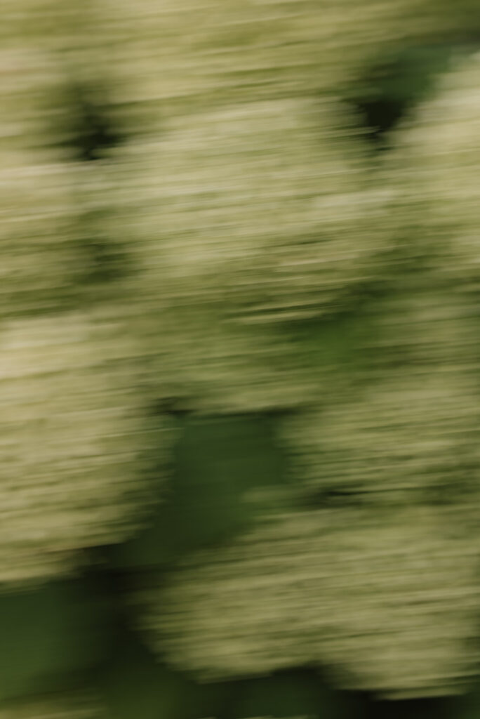 Wedding Chateau de Mairy, Champagne