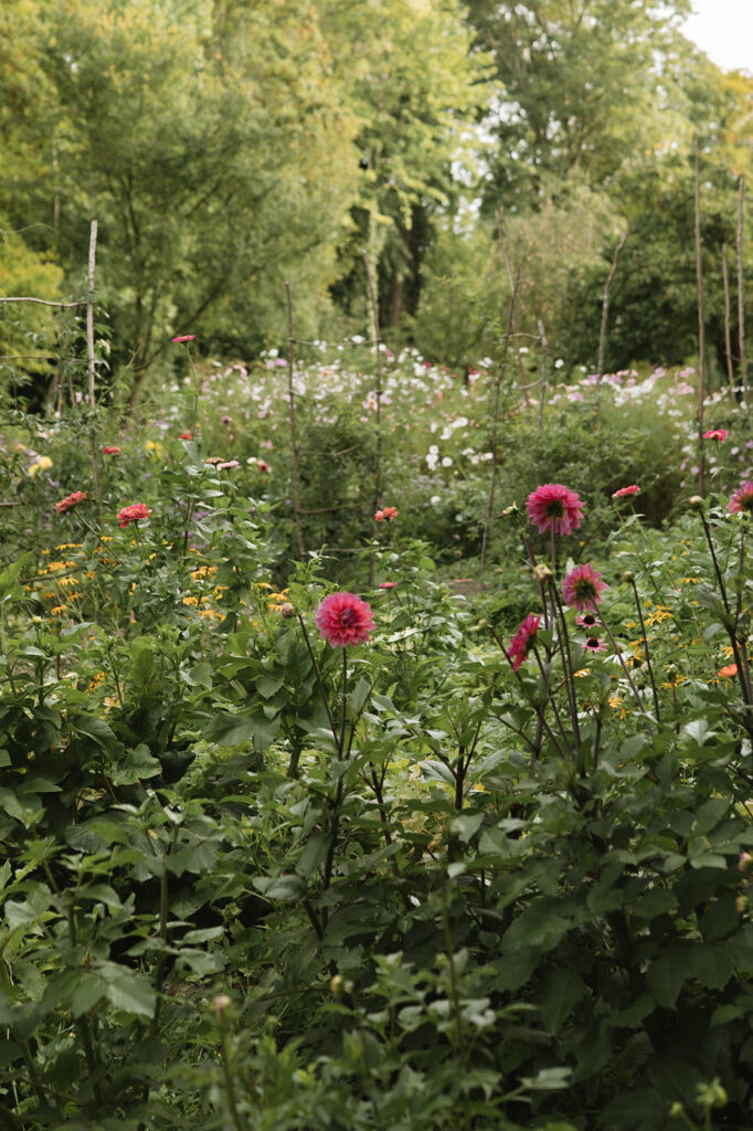 flowers Chateau de Mairy, Champagne